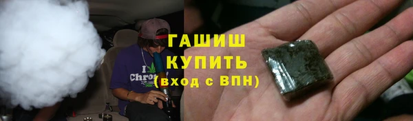 индика Баксан