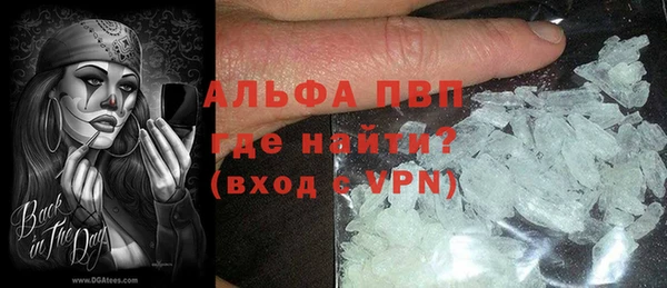 индика Баксан