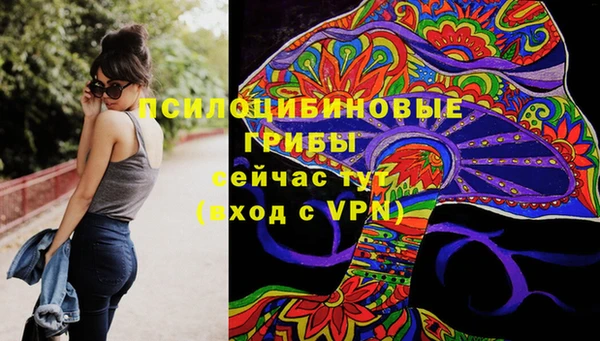 Альфа ПВП Балабаново