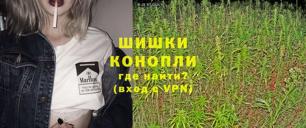 индика Баксан