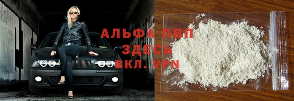индика Баксан